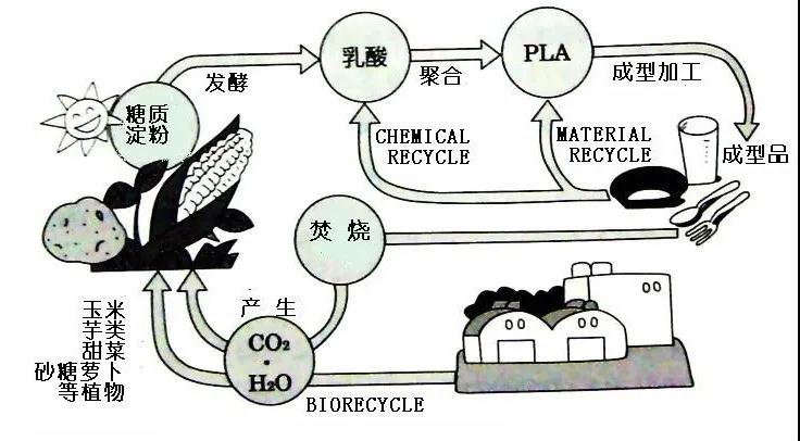 可生物降解環(huán)保塑料可以回收再利用嗎？(圖4)