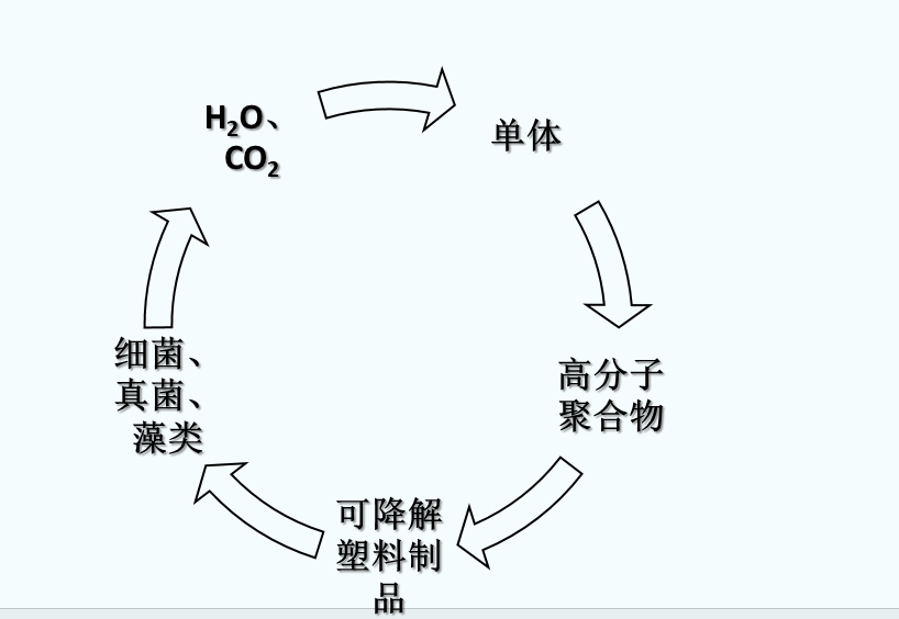 什么是可生物降解塑料？(圖1)