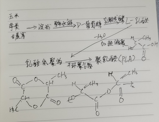 生物降解袋中的PLA是如何制得的？(圖2)
